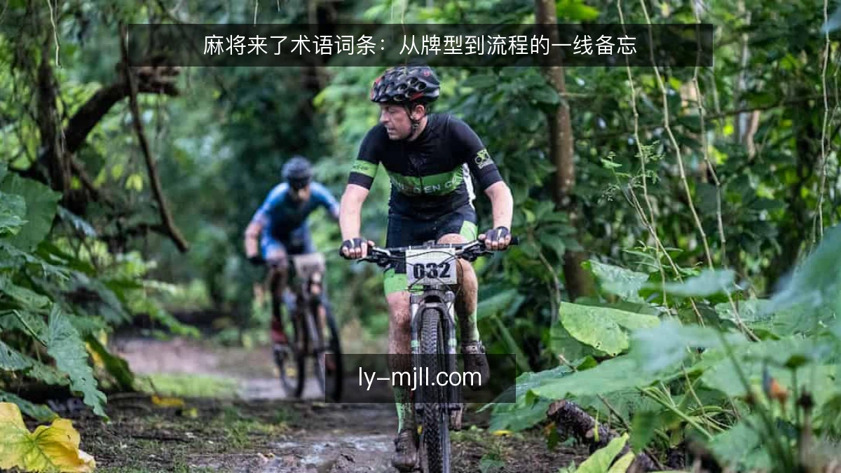 麻将来了术语词条：从牌型到流程的一线备忘