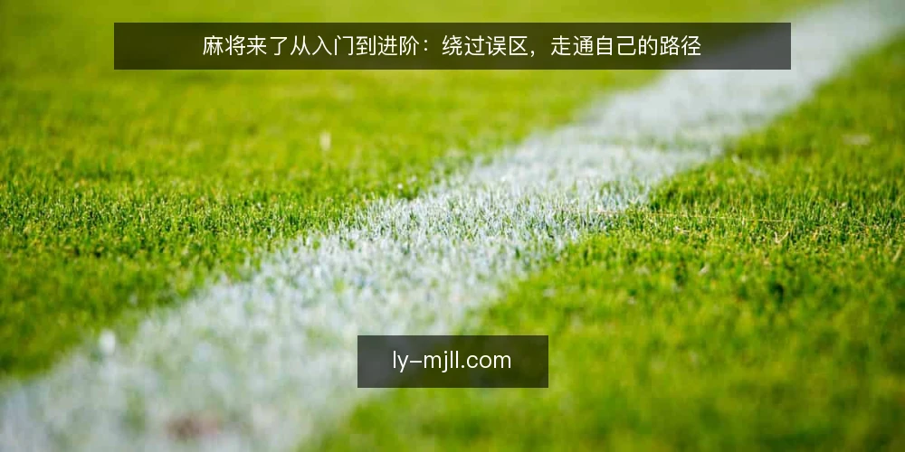 麻将来了从入门到进阶:绕过误区,走通自己的路径 — 先看路径:从好奇到熟练的四个节点 配图