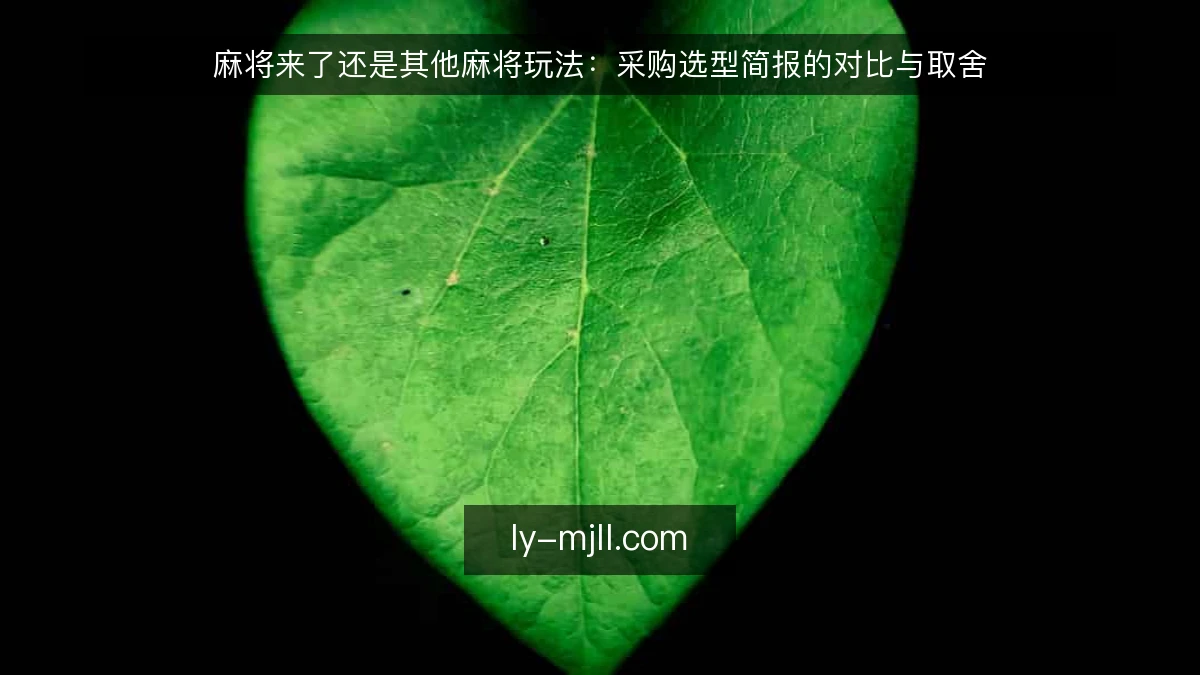 麻将来了还是其他麻将玩法:采购选型简报的对比与取舍